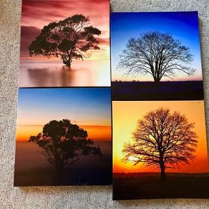4 Season Canvas Prints